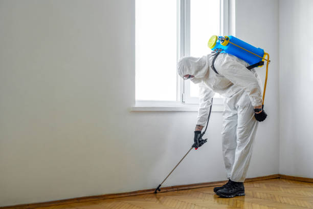 Pest Prevention Services in Ashland, WI