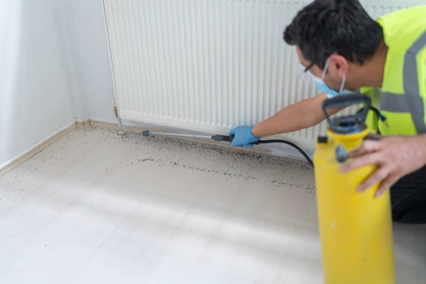 Best Flea Control Services  in Ashland, WI